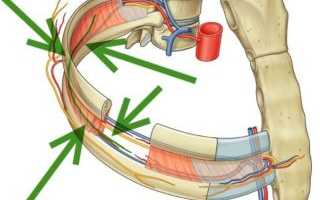 Что делать, если болят нижние ребра с двух сторон спереди