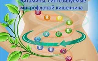 Витамины, синтезируемые кишечной микрофлорой