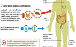 Подробно о сальмонеллезе: возбудитель, пути передачи, признаки и лечение