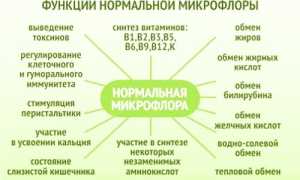 Как сдавать анализ кала на микрофлору кишечника?