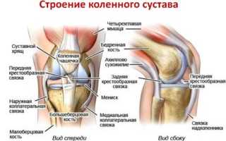 Боль в коленном суставе с внутренней стороны: причины, симптомы и лечение