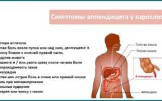 Какие заболевания могут вызывать высокую температуру и боли в животе у женщин