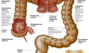 Заболевания ободочной кишки: симптомы и признаки патологий, лечение