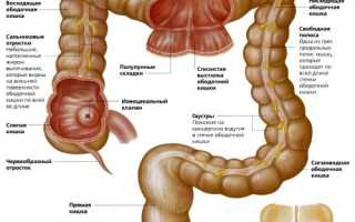 Заболевания ободочной кишки: симптомы и признаки патологий, лечение