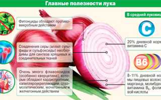 Калорийность лука репчатого и порея: какой лучше, сколько калорий, полезные свойства, возможный вред