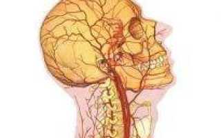 Нестенозирующий атеросклероз внечерепных брахиоцефальных артерий лечение