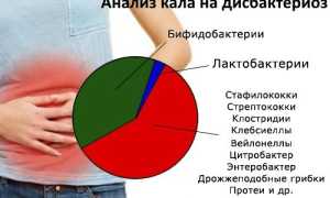 Сдача анализа кала на дисбактериоз + расшифровка