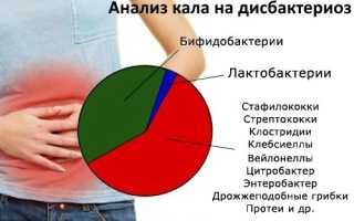 Сдача анализа кала на дисбактериоз + расшифровка