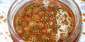 Варенье из сосновых шишек