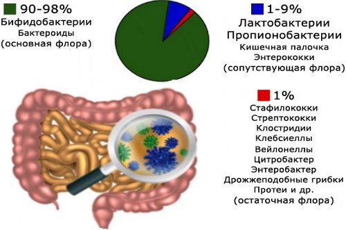 Normalnaja-mikroflora-kishechnika