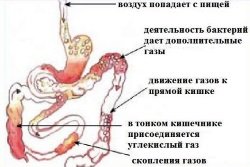 Obrazovanie-gazov