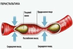 Peristaltika