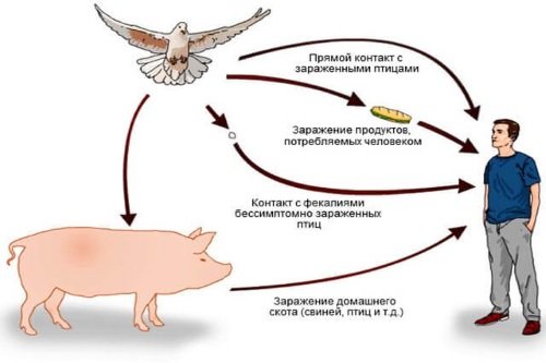 Puti-peredachi-infekcii