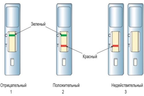 Rasshifrovka-jekspress-testa-na-skrytuju-krov-v-kale