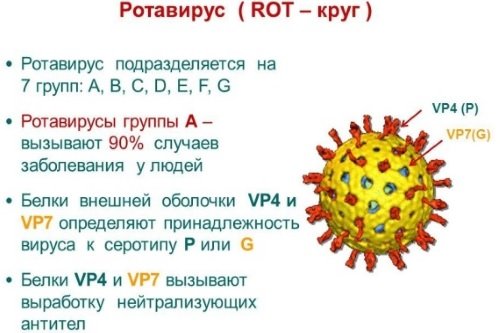 Rotavirus