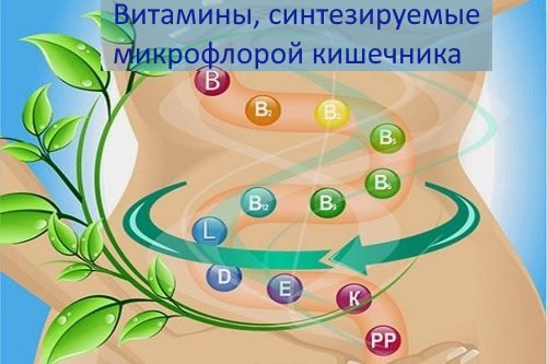 Vitaminy-sinteziruemye-mikrofloroj-kishechnika