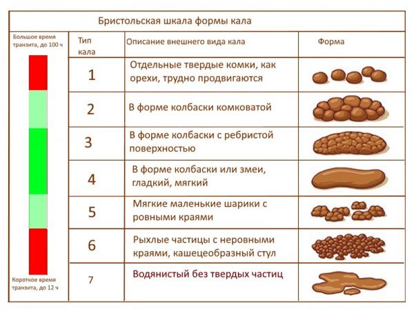 Бристольская шкала кала