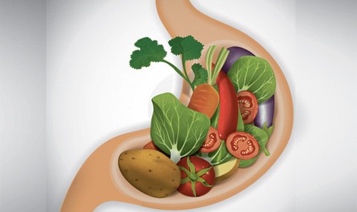 непереваренная пища в кале