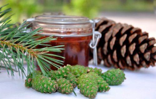 Хвойные напитки