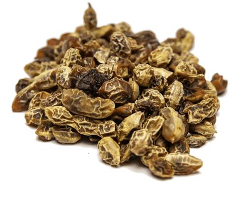 Плоды софоры